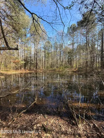 $179,200 | 0 Ms-13, Lena, MS 39094