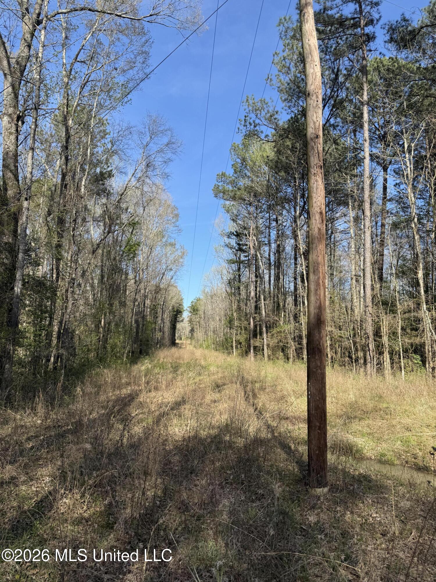 0 Ms-13 Lena, MS 39094 - Photo 4 of 10 IMG_3068