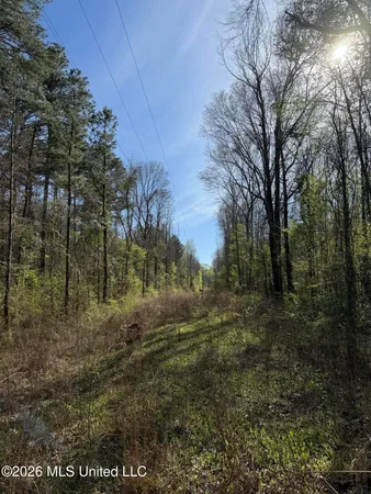 $179,200 | 0 Ms-13, Lena, MS 39094
