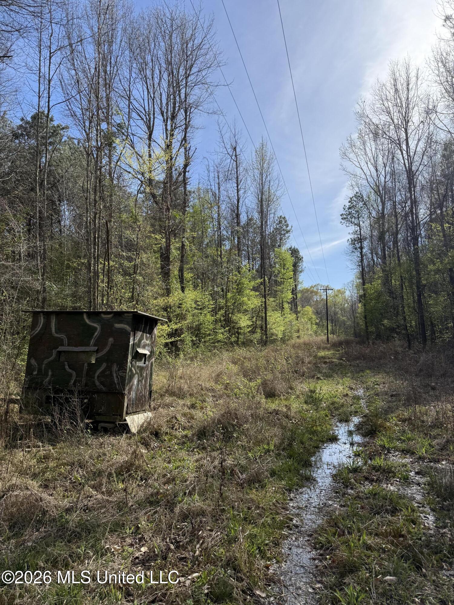 0 Ms-13 Lena, MS 39094 - Photo 6 of 10 IMG_3071