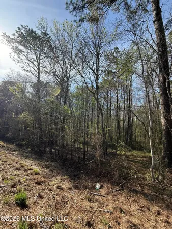 $179,200 | 0 Ms-13, Lena, MS 39094