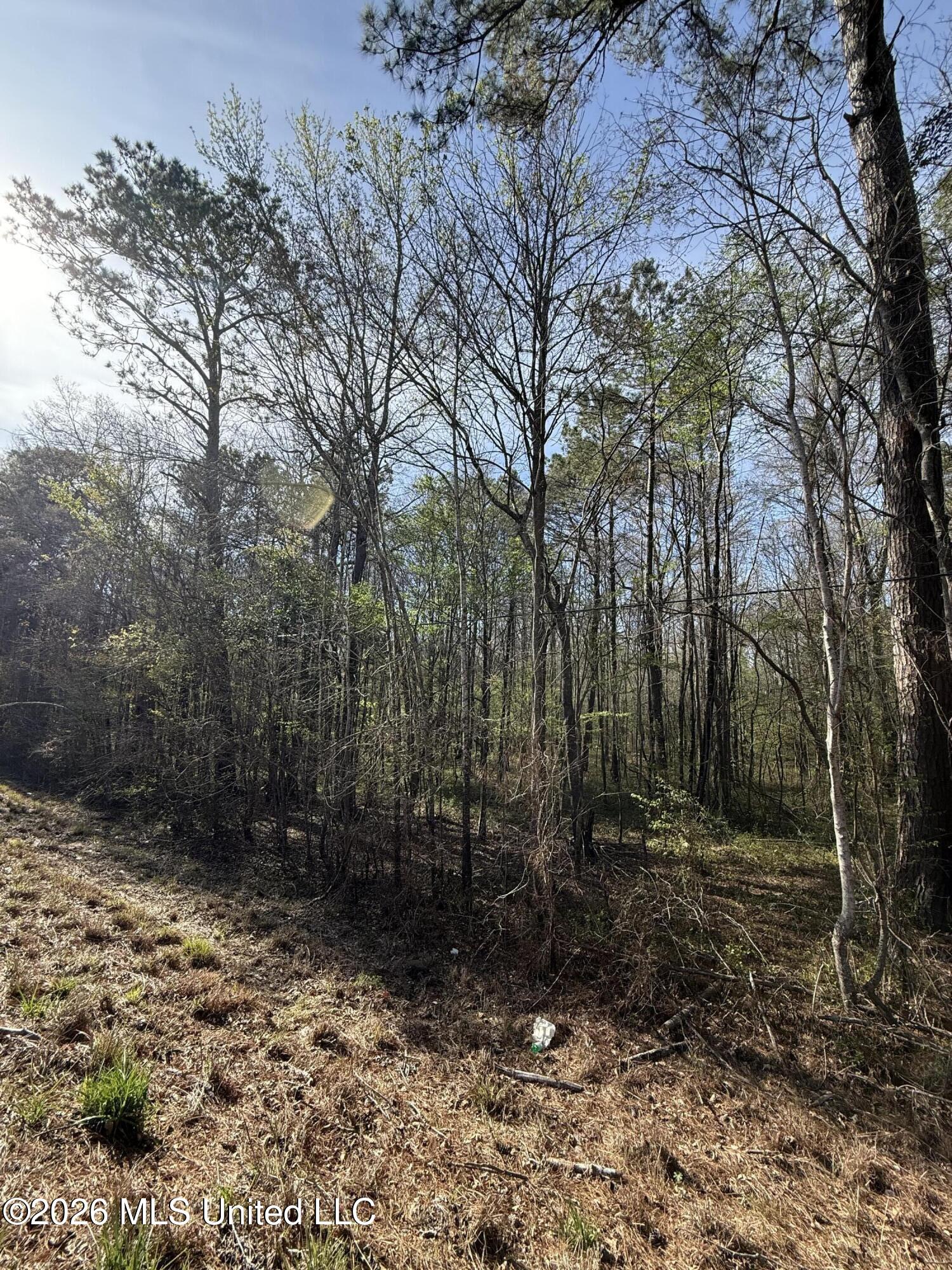 0 Ms-13 Lena, MS 39094 - Photo 8 of 10 IMG_3066