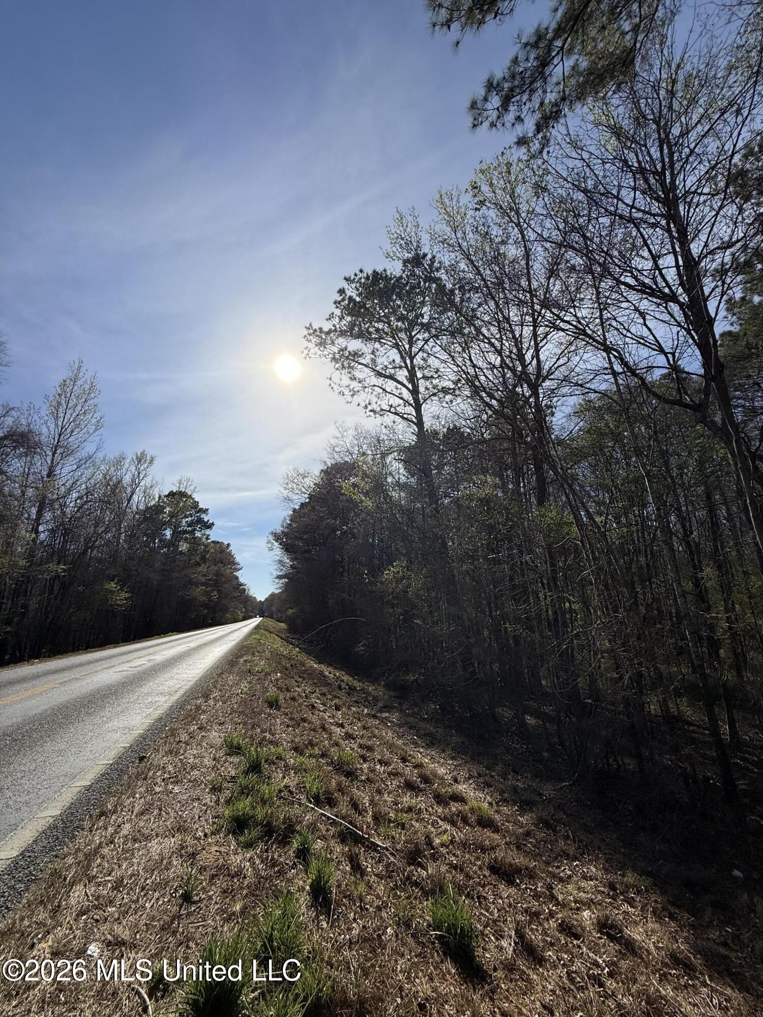 0 Ms-13 Lena, MS 39094 - Photo 9 of 10 IMG_3067