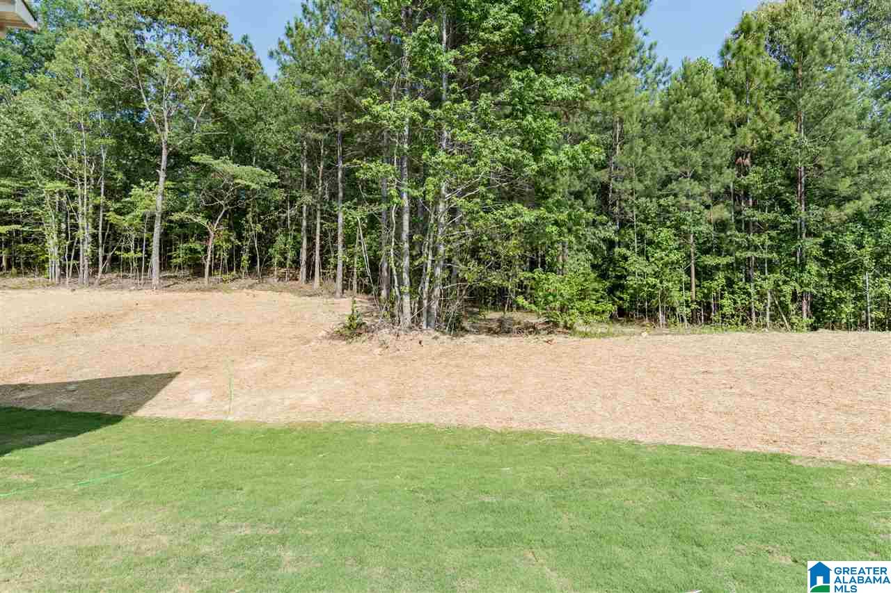 613 Whitetail Run Chelsea, AL 35043 - Photo 48 of 50