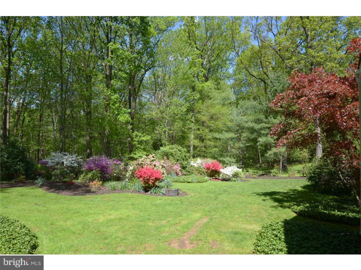 652 Knox Road Wayne, PA 19087 - Photo 17 of 20 Back Yard