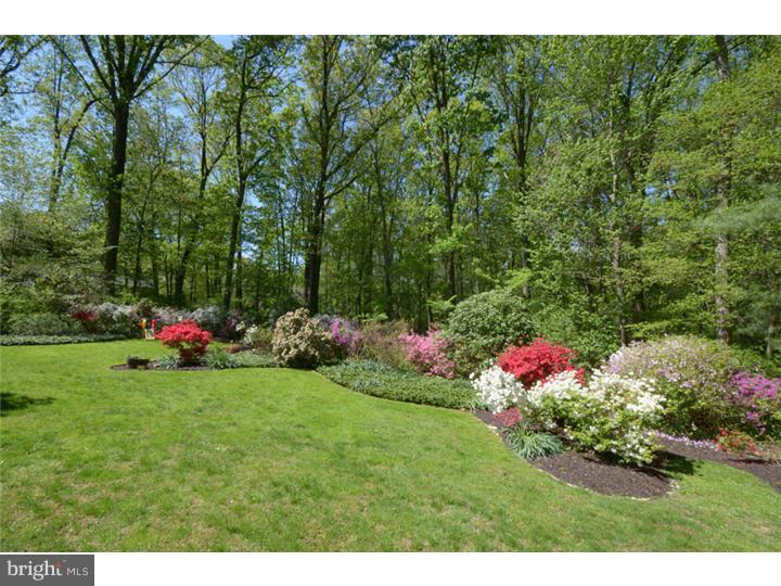 652 Knox Road Wayne, PA 19087 - Photo 18 of 20 Back Yard