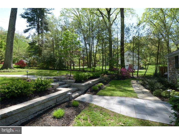 652 Knox Road Wayne, PA 19087 - Photo 20 of 20 Front Yard