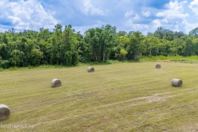 a view of a water with a bench and trees in the background