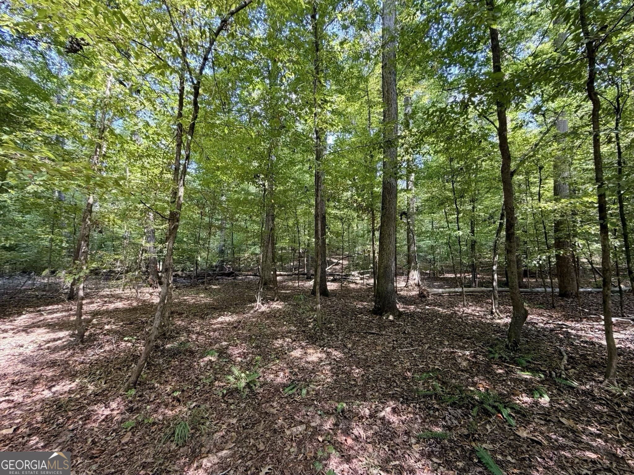11 Bunch Road Tignall, GA 30668 - Photo 69 of 81 Gallery Image 69
