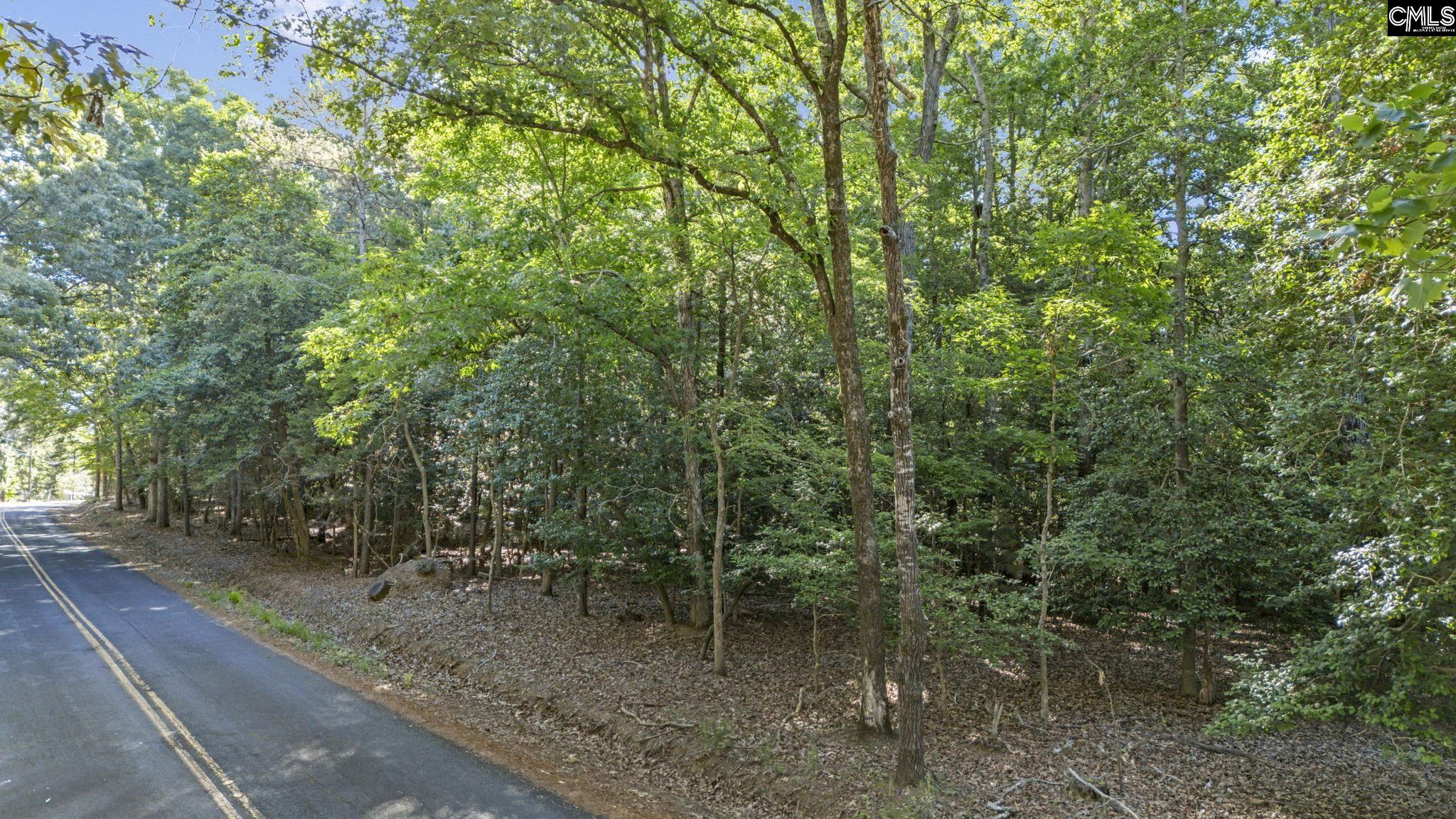 0 Lominack Road Prosperity, SC 29127 - Photo 6 of 19