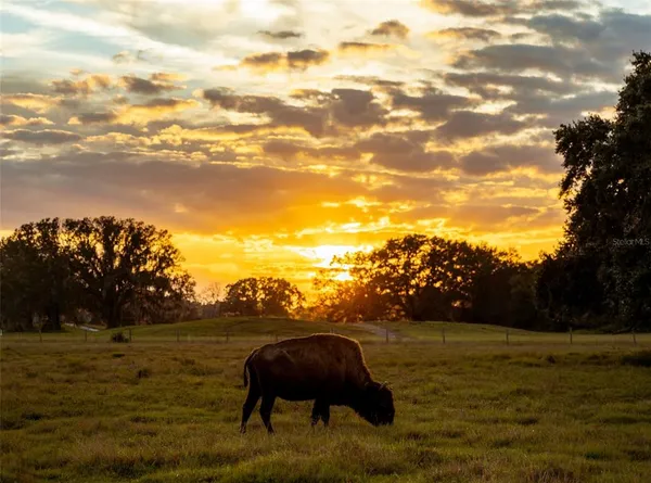 a front view of a house with garden space and car parked