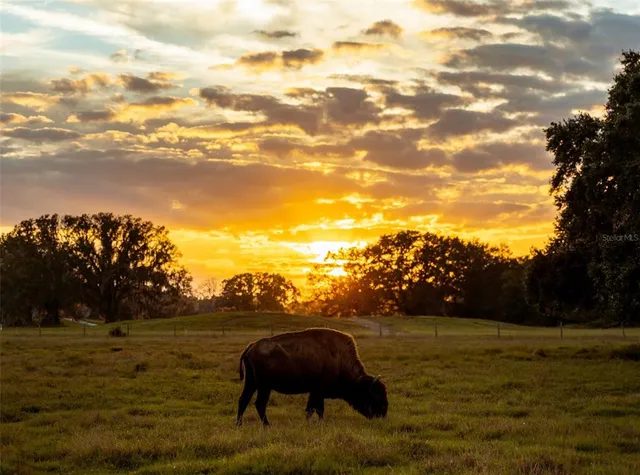 a front view of a house with garden space and car parked