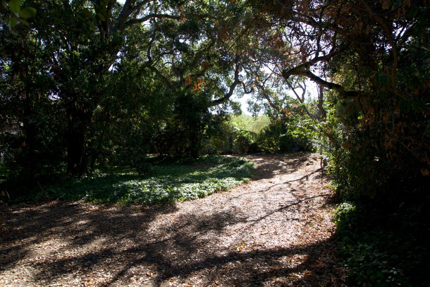 32 Bishop Lane Menlo Park, CA 94025 - Photo 1 of 6 a view of backyard with green space