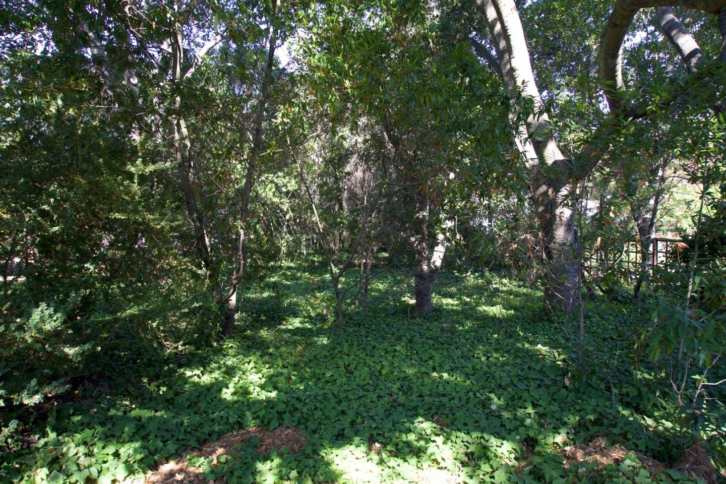 32 Bishop Lane Menlo Park, CA 94025 - Photo 3 of 6 a view of a tree