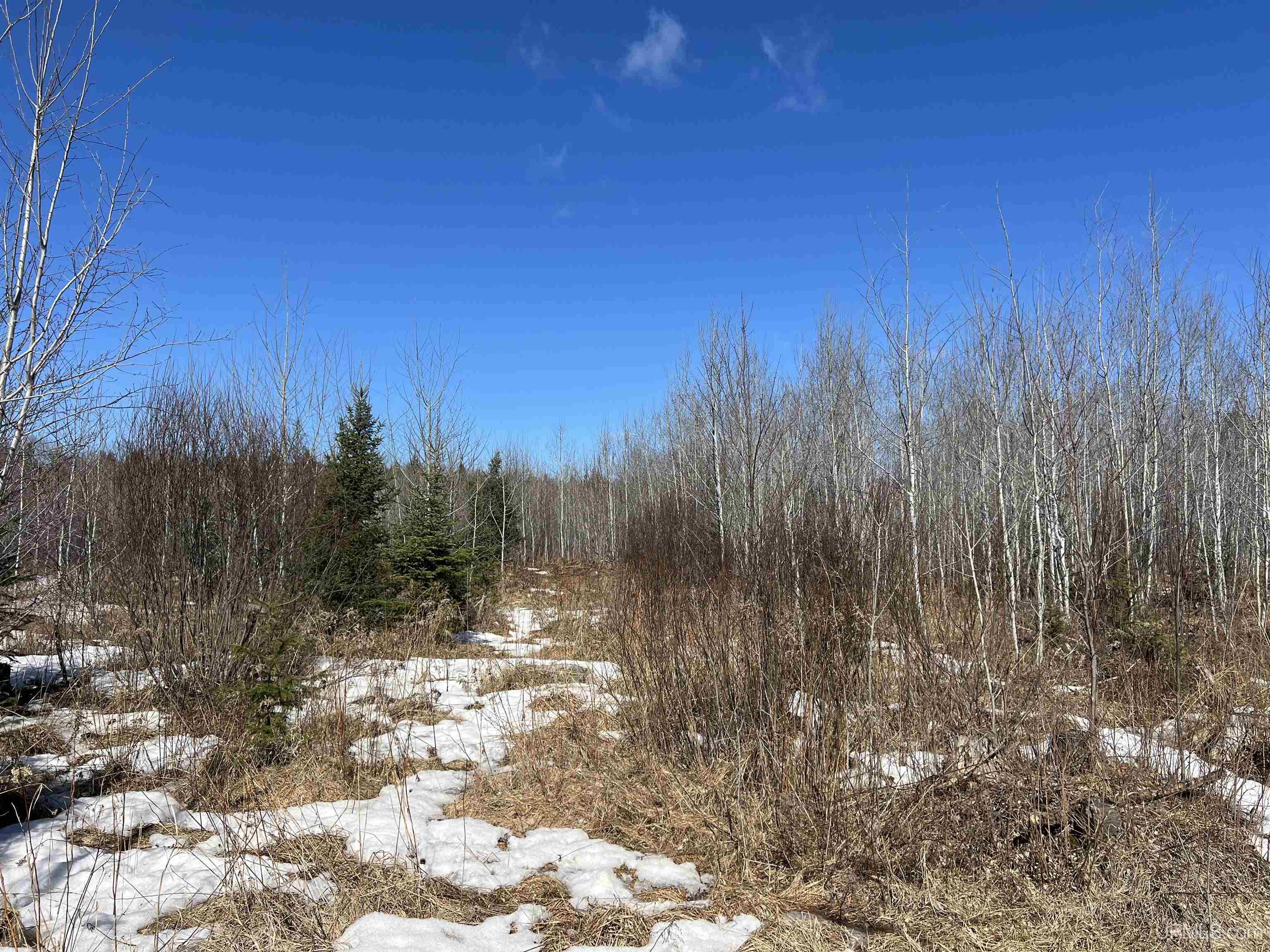 Tbd Nordstrom Road Iron River, MI 49935 - Photo 6 of 7