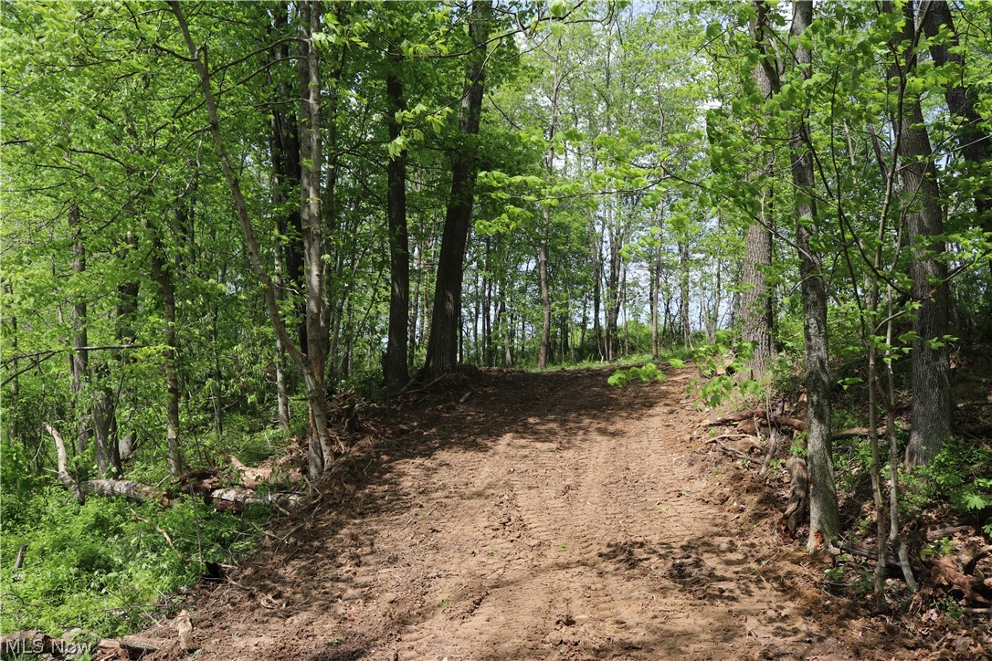 30700 Ferguson Road Tippecanoe, OH 44699 - Photo 15 of 17 Gallery Image 15