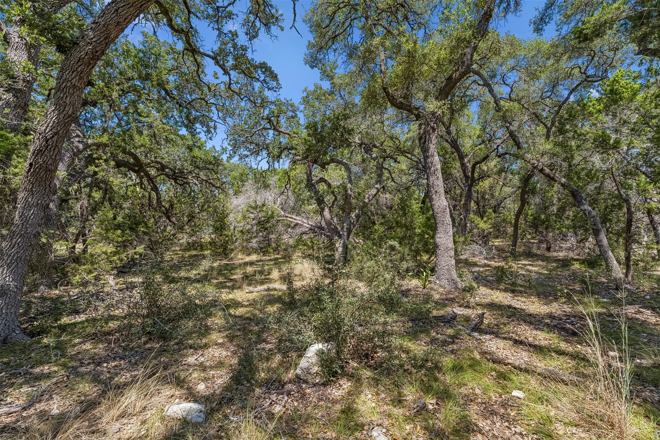 854 Maximino Ridge Road Bulverde, TX 78163 - Photo 9 of 32 Gallery Image 9