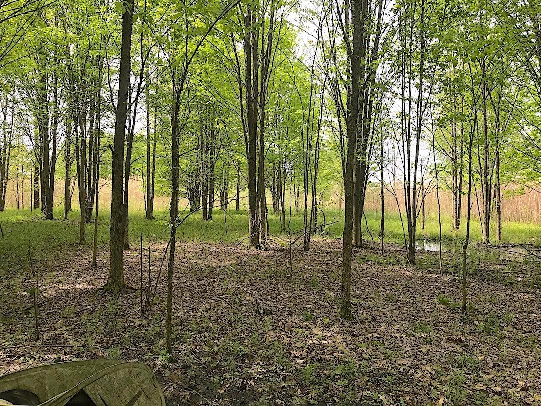0 East Union Road Dorset, OH 44032 - Photo 11 of 21