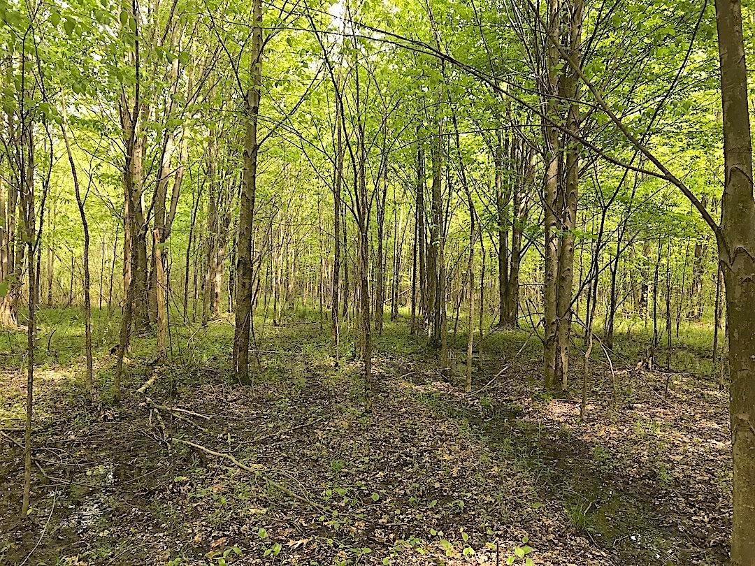 0 East Union Road Dorset, OH 44032 - Photo 12 of 21