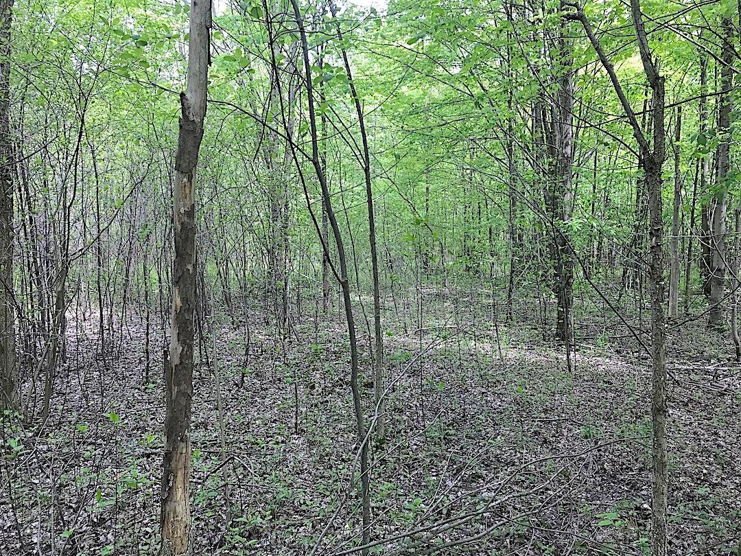 0 East Union Road Dorset, OH 44032 - Photo 13 of 21