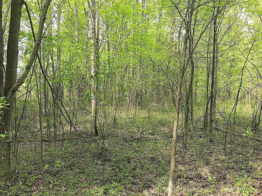 0 East Union Road Dorset, OH 44032 - Photo 14 of 21