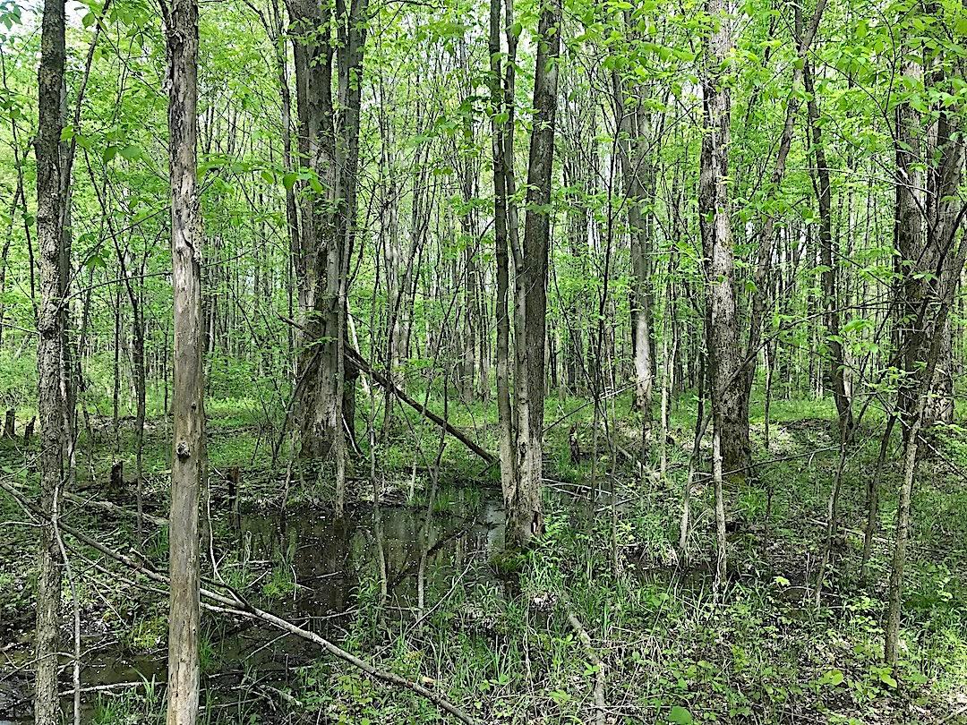 0 East Union Road Dorset, OH 44032 - Photo 15 of 21