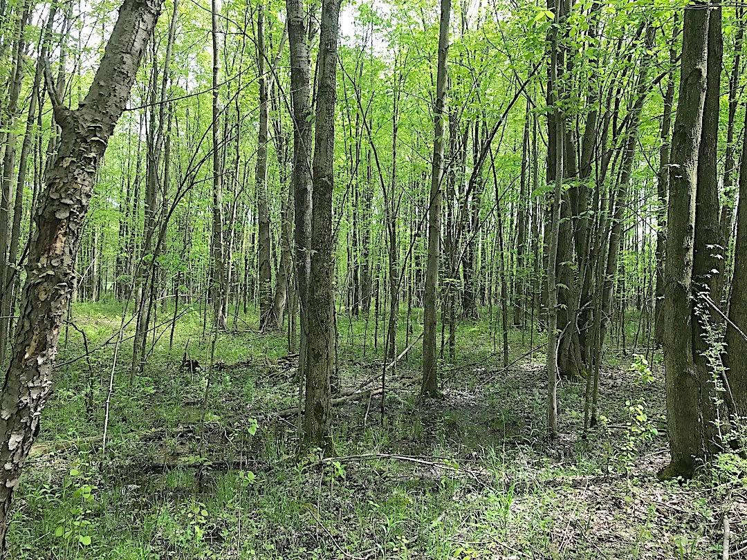 0 East Union Road Dorset, OH 44032 - Photo 16 of 21