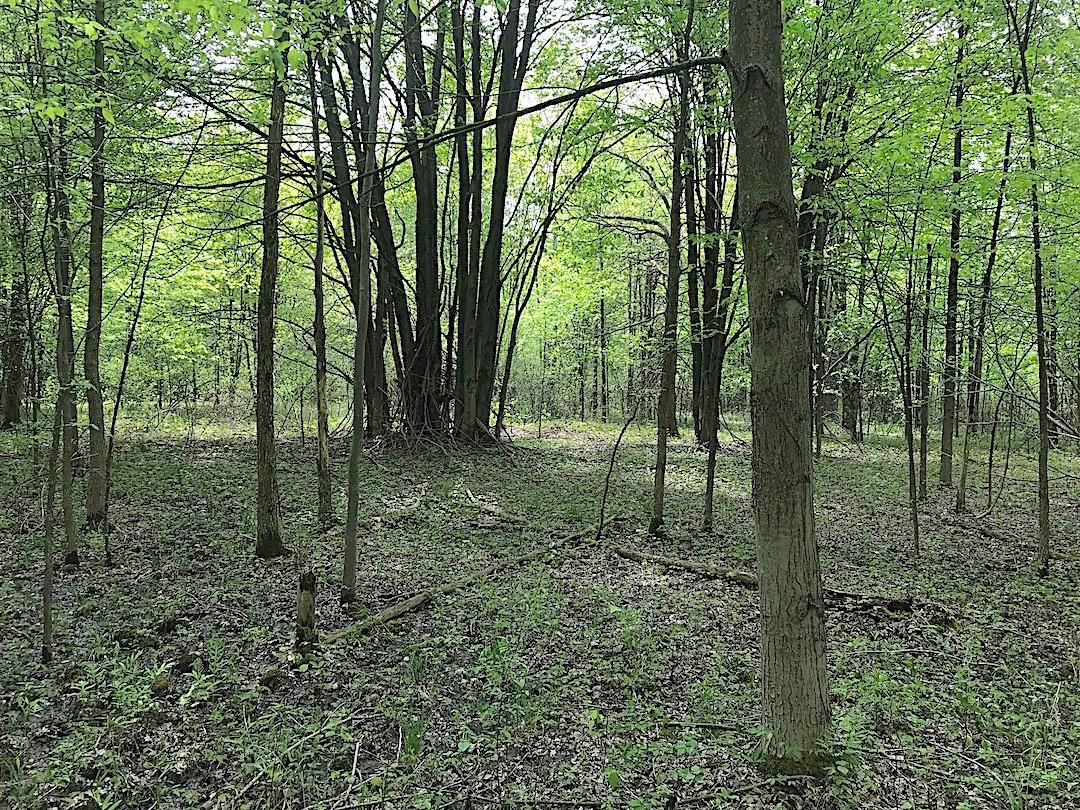0 East Union Road Dorset, OH 44032 - Photo 17 of 21