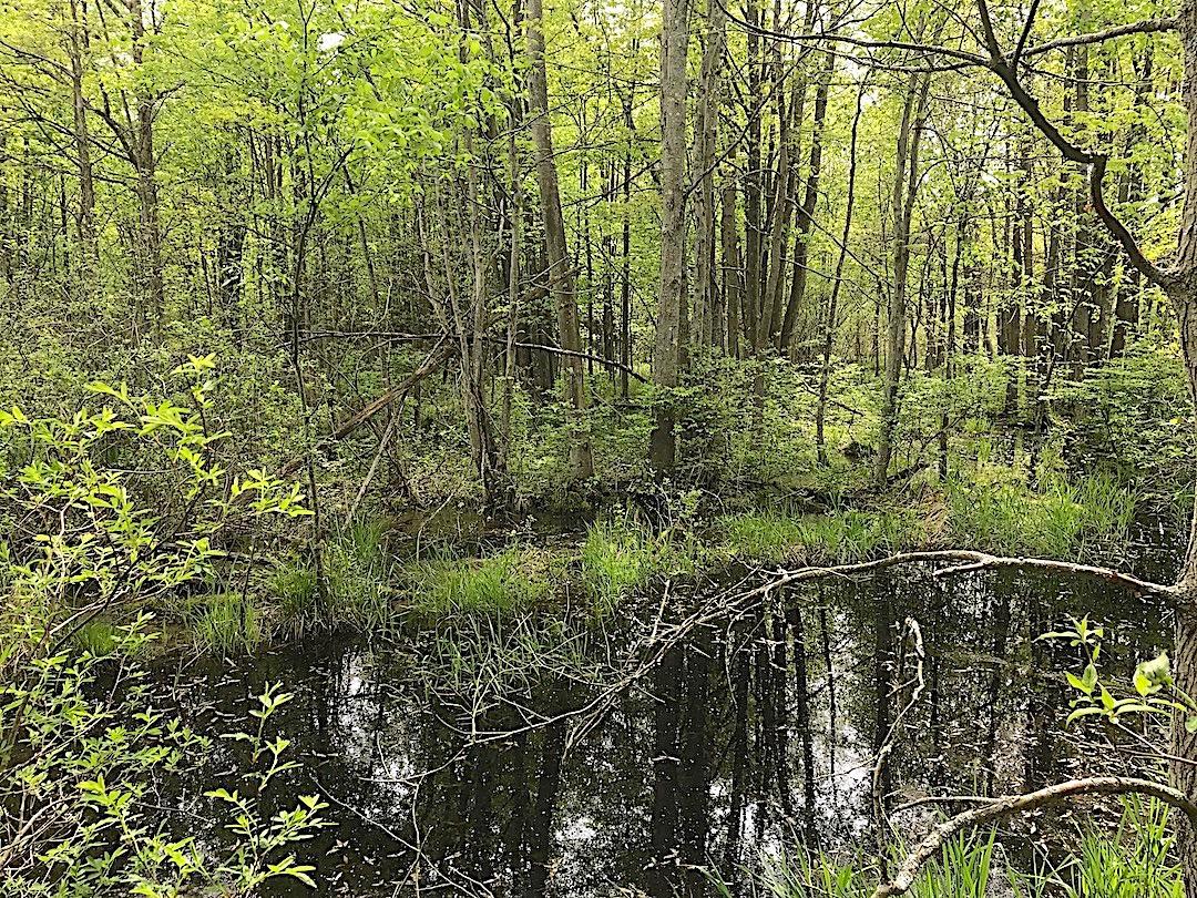 0 East Union Road Dorset, OH 44032 - Photo 18 of 21