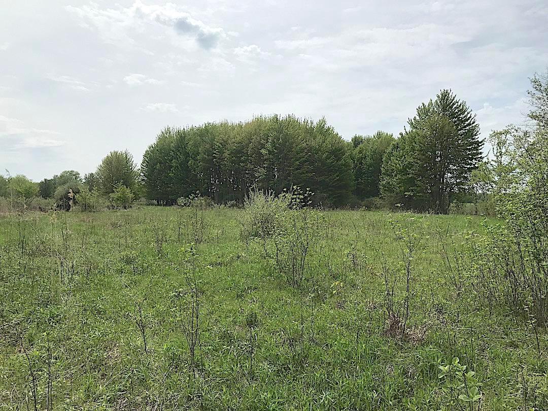0 East Union Road Dorset, OH 44032 - Photo 19 of 21