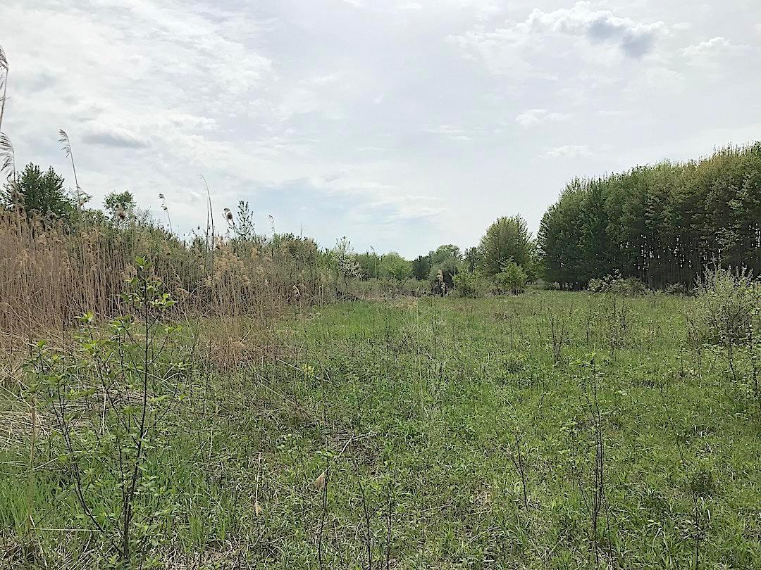 0 East Union Road Dorset, OH 44032 - Photo 20 of 21
