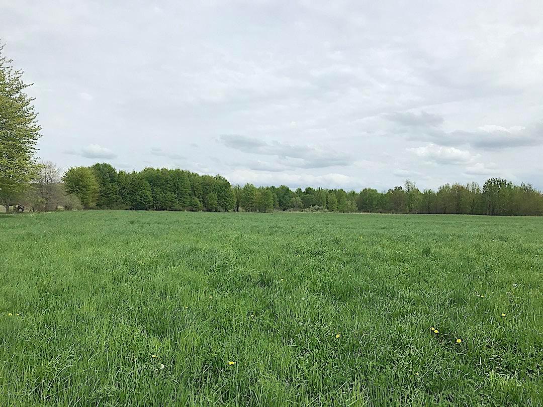 0 East Union Road Dorset, OH 44032 - Photo 2 of 21