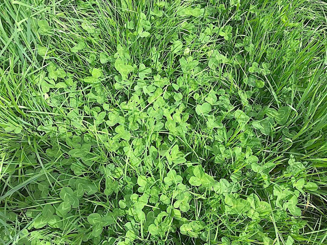 0 East Union Road Dorset, OH 44032 - Photo 4 of 21