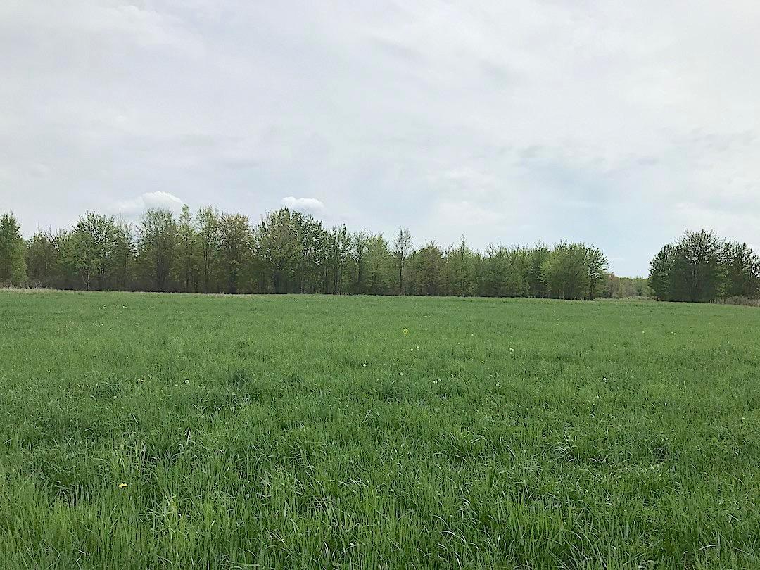 0 East Union Road Dorset, OH 44032 - Photo 6 of 21