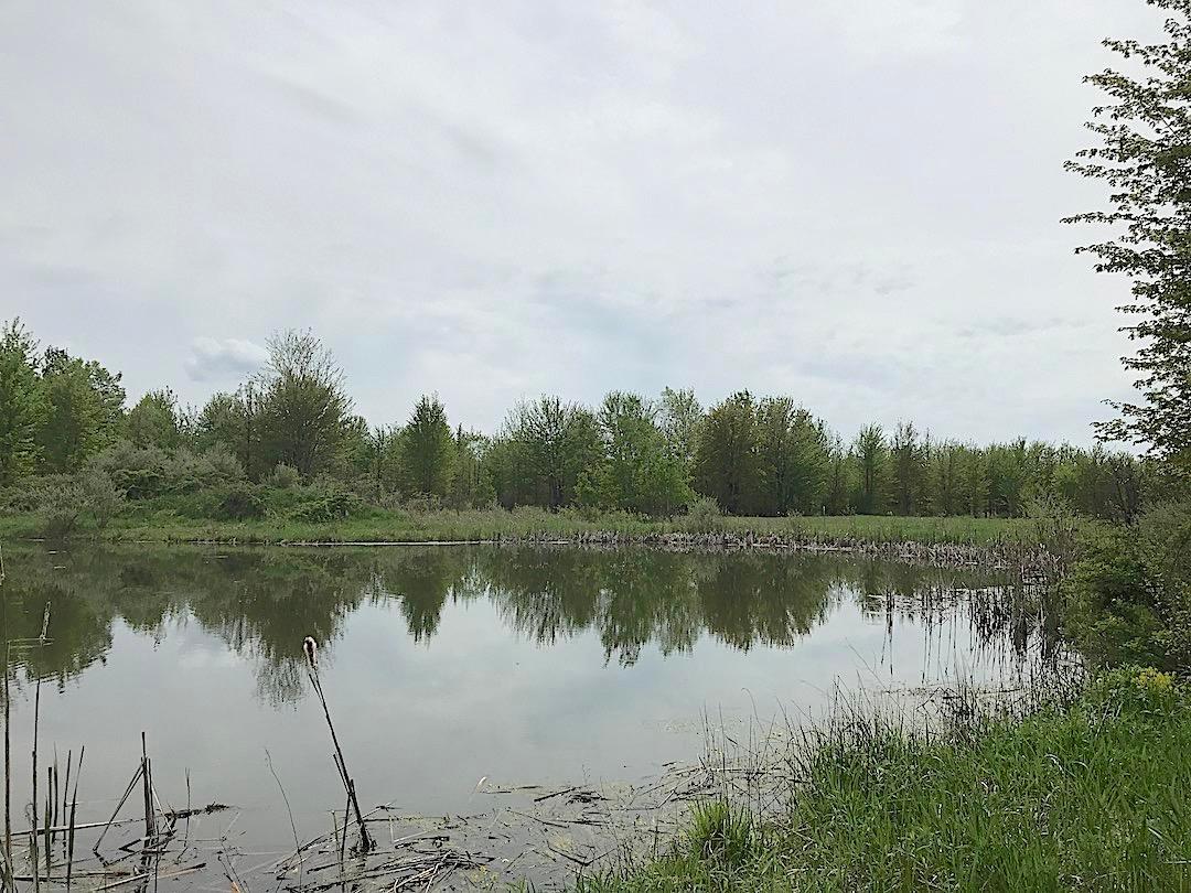 0 East Union Road Dorset, OH 44032 - Photo 9 of 21