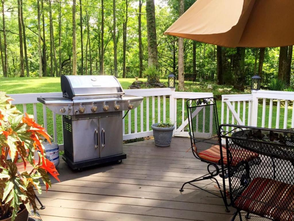 5336 Skeens Ridge Road Big Stone Gap, VA 24219 - Photo 18 of 24 Entertainment Ready