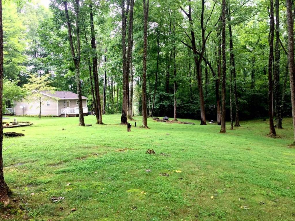 5336 Skeens Ridge Road Big Stone Gap, VA 24219 - Photo 20 of 24 Privacy