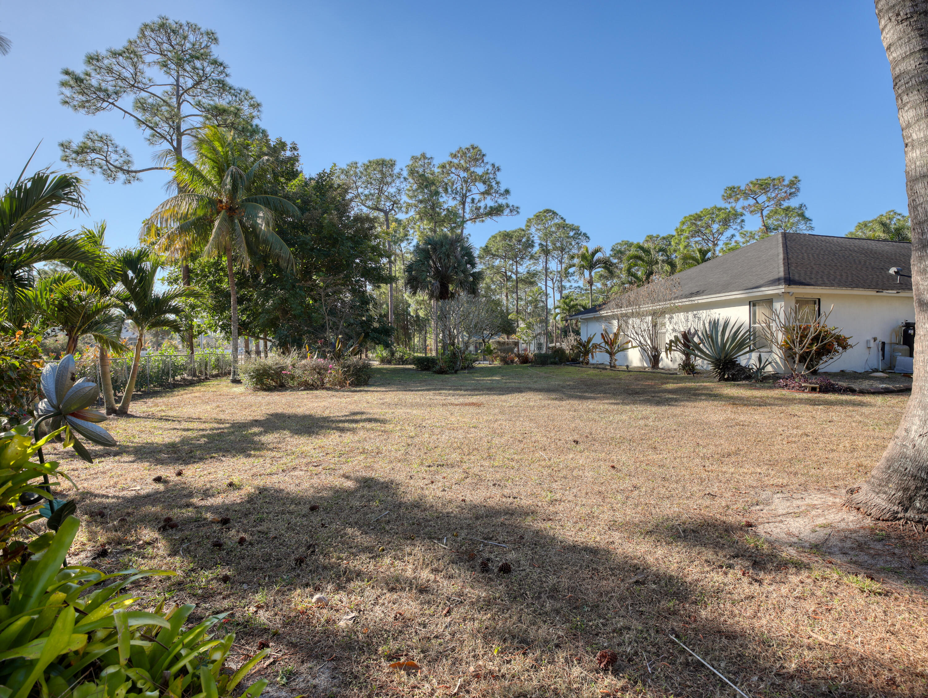 15049 85th Road North The Acreage, FL 33470 - Photo 17 of 60 a view of dirt yard with a large tree