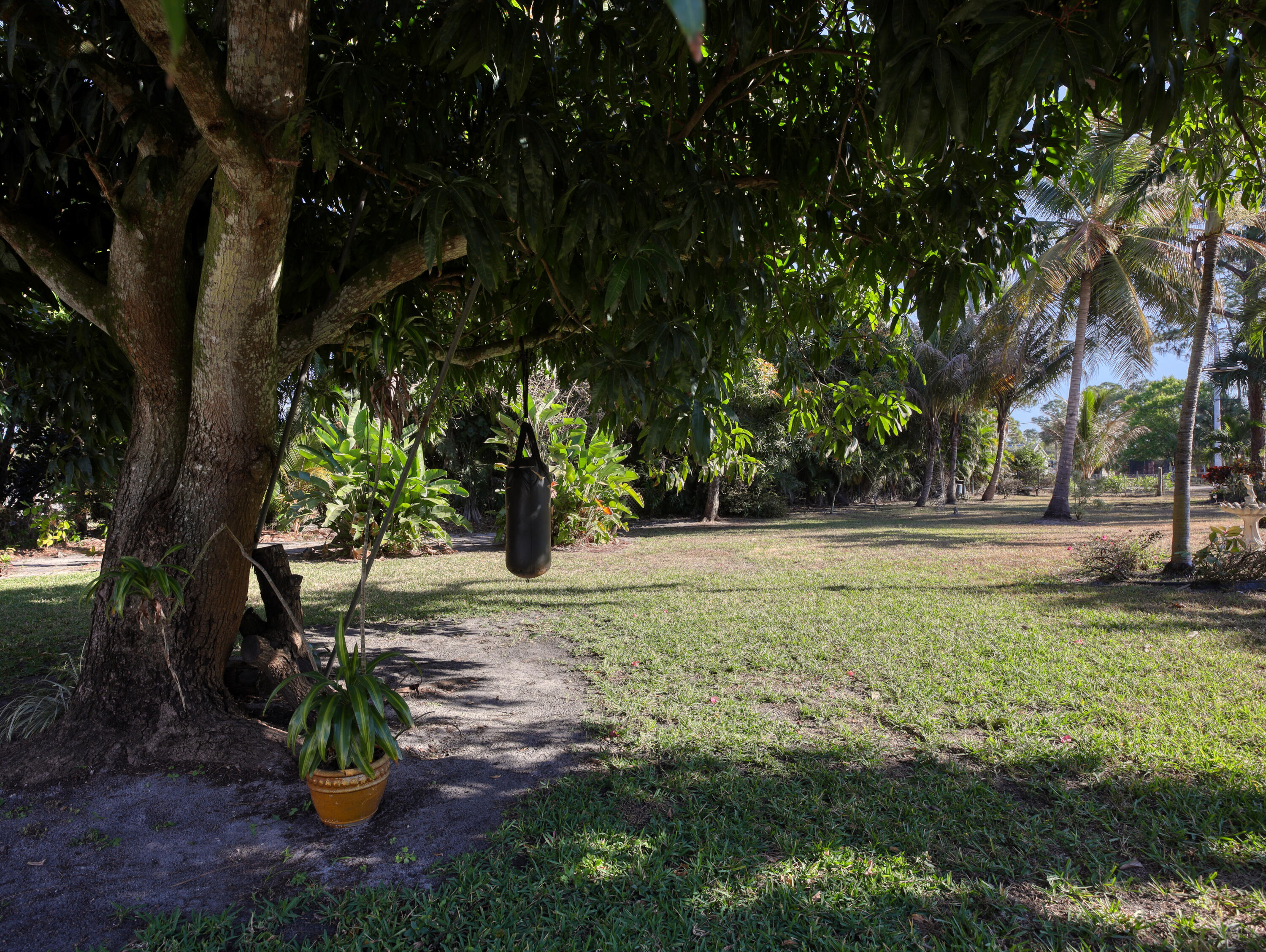 15049 85th Road North The Acreage, FL 33470 - Photo 18 of 60 a view of a garden with a tree