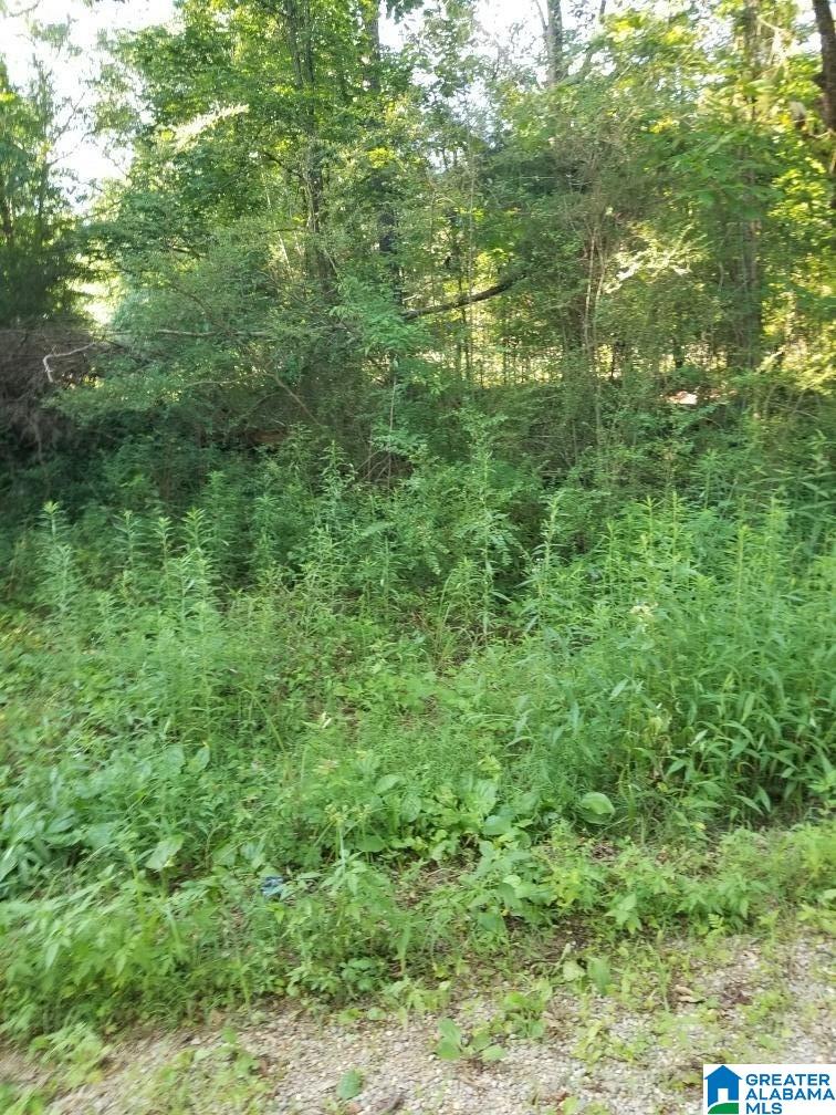 270 Oxford Road Lincoln, AL 35096 - Photo 7 of 21
