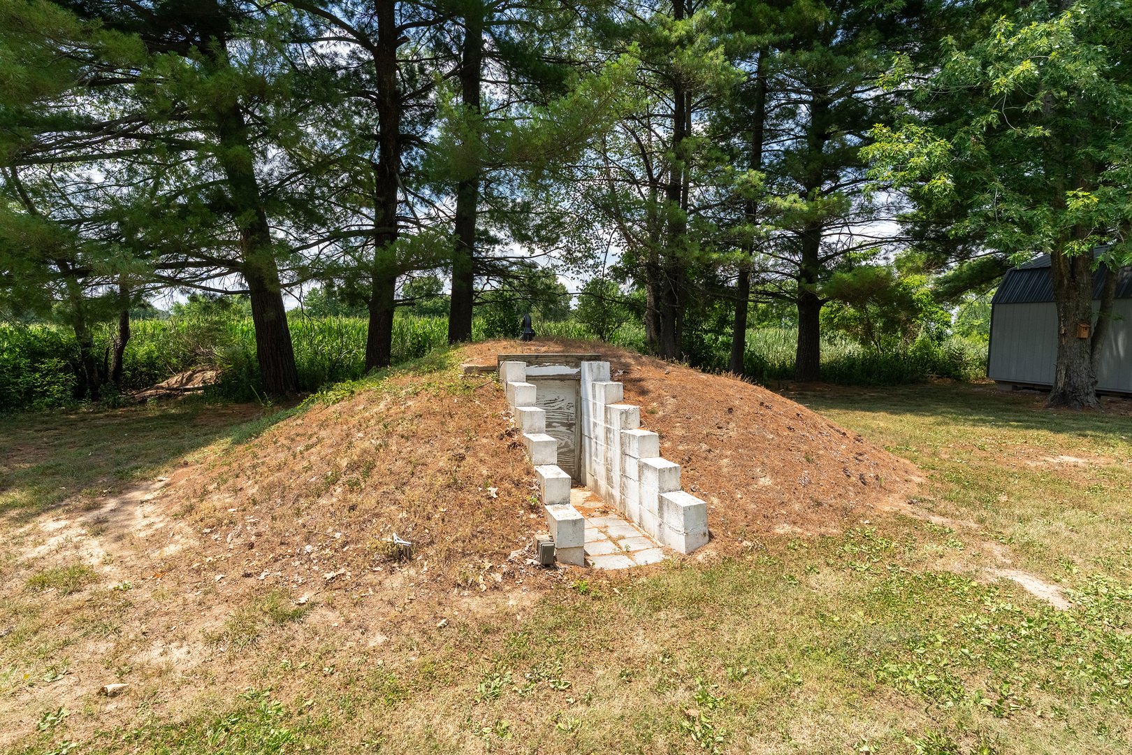 8184 Knox Road West Frankfort, IL 62896 - Photo 28 of 36
