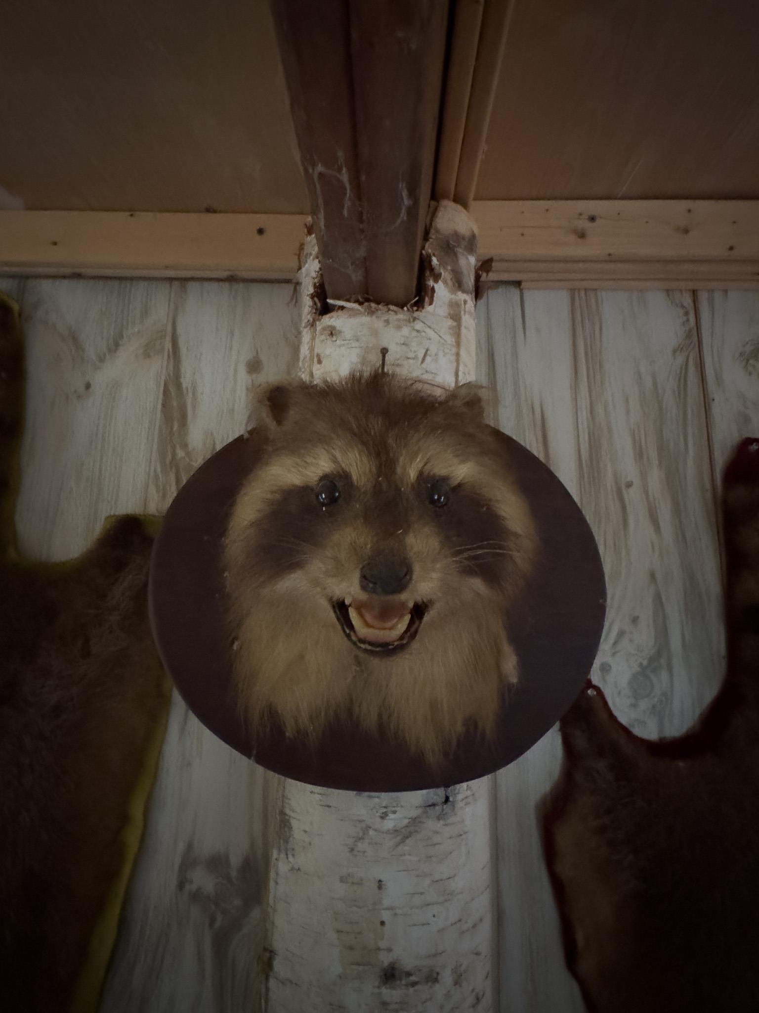 397 Thompson Road Stockbridge, VT 05772 - Photo 15 of 20