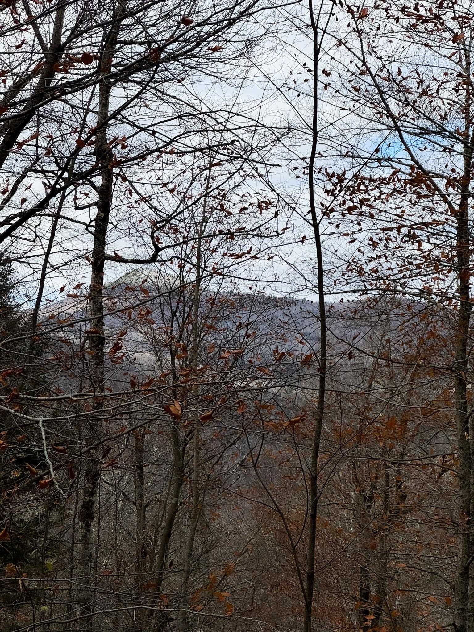 397 Thompson Road Stockbridge, VT 05772 - Photo 19 of 20