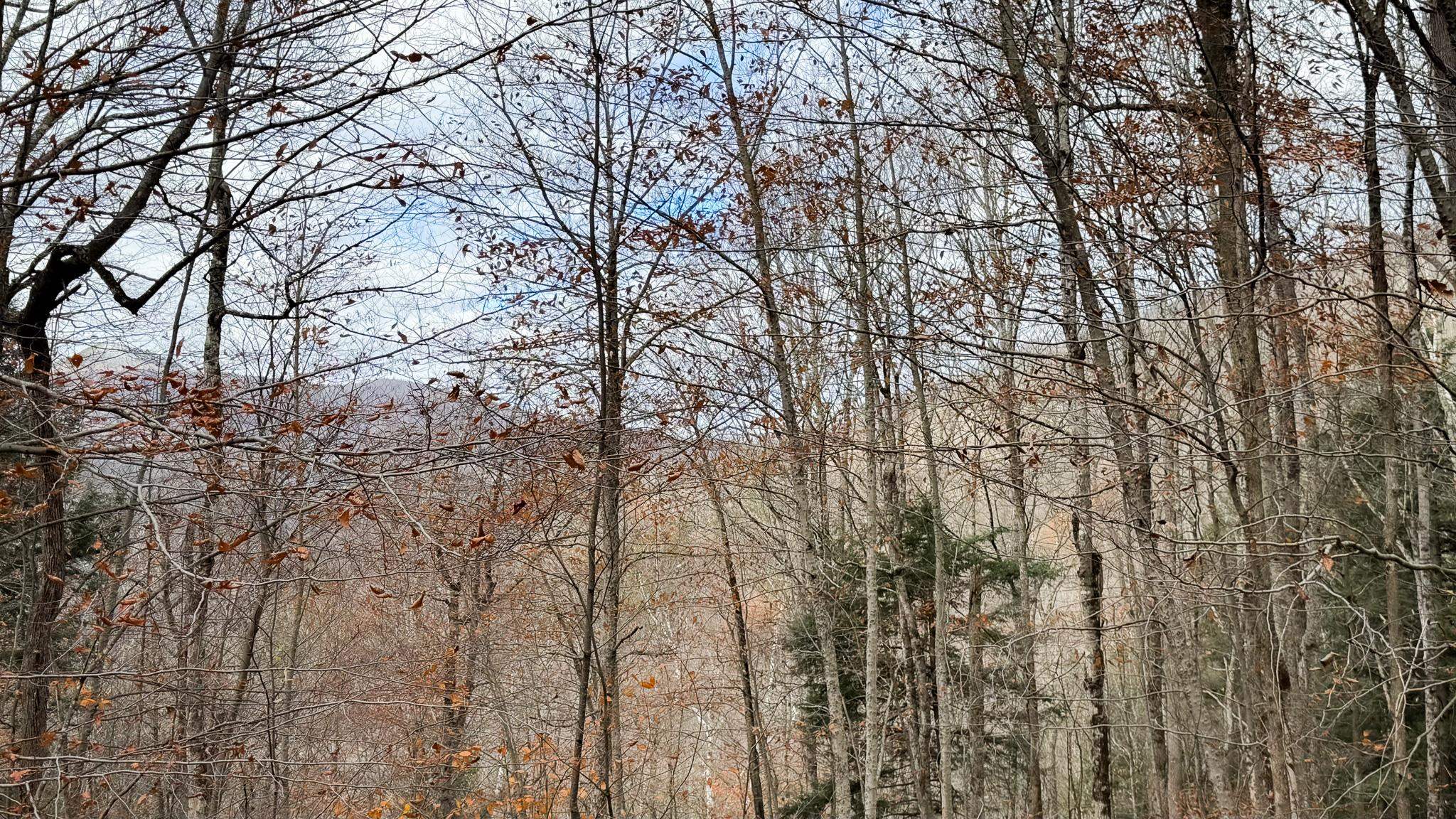 397 Thompson Road Stockbridge, VT 05772 - Photo 20 of 20