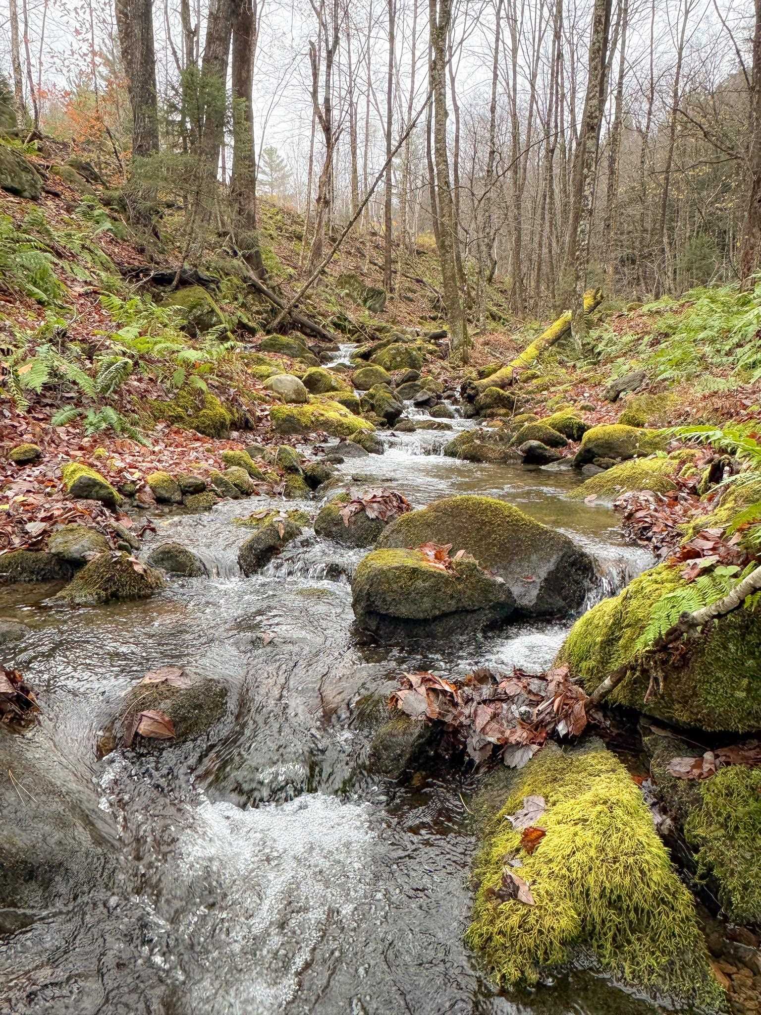 397 Thompson Road Stockbridge, VT 05772 - Photo 4 of 20