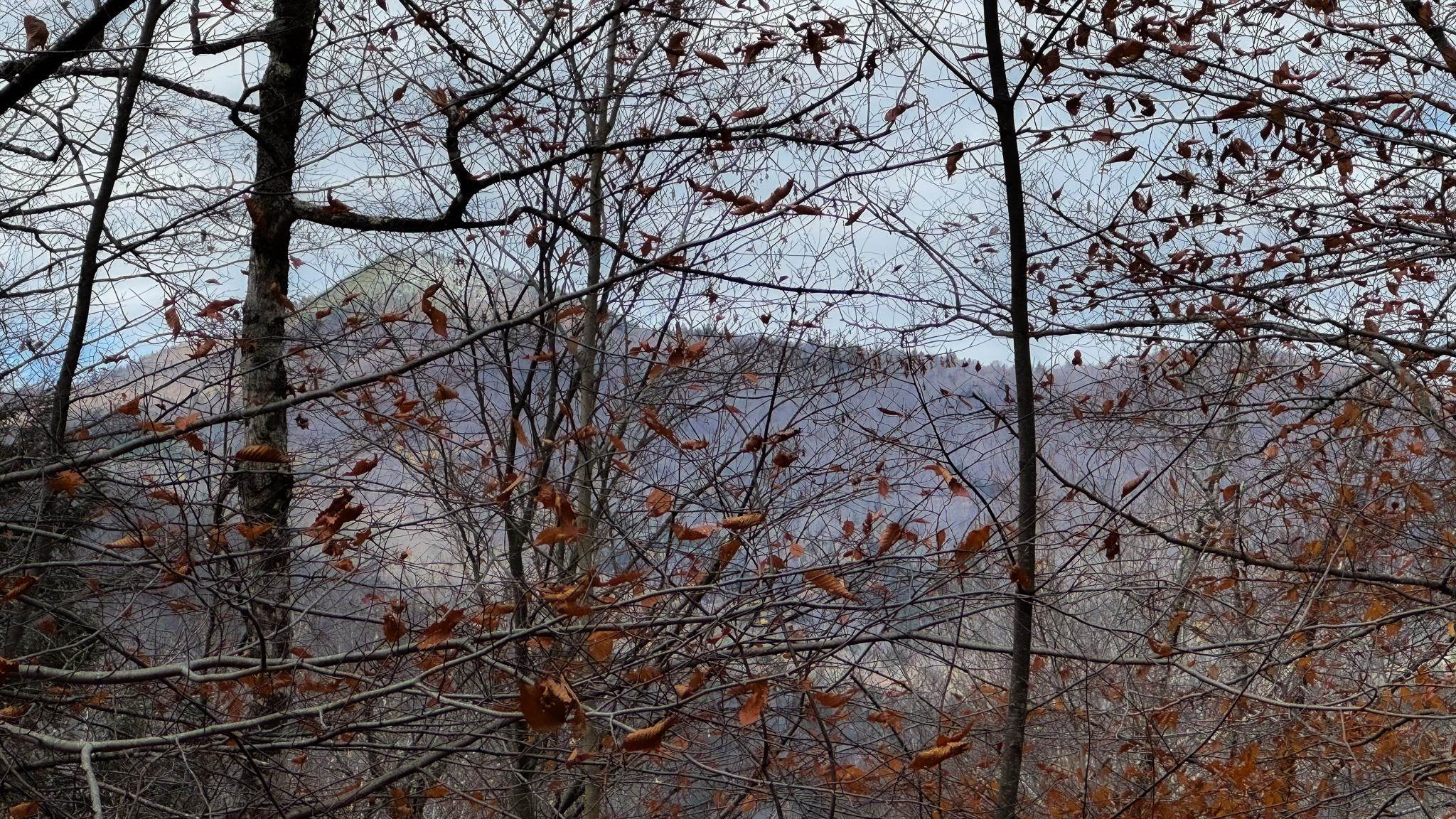 397 Thompson Road Stockbridge, VT 05772 - Photo 6 of 20