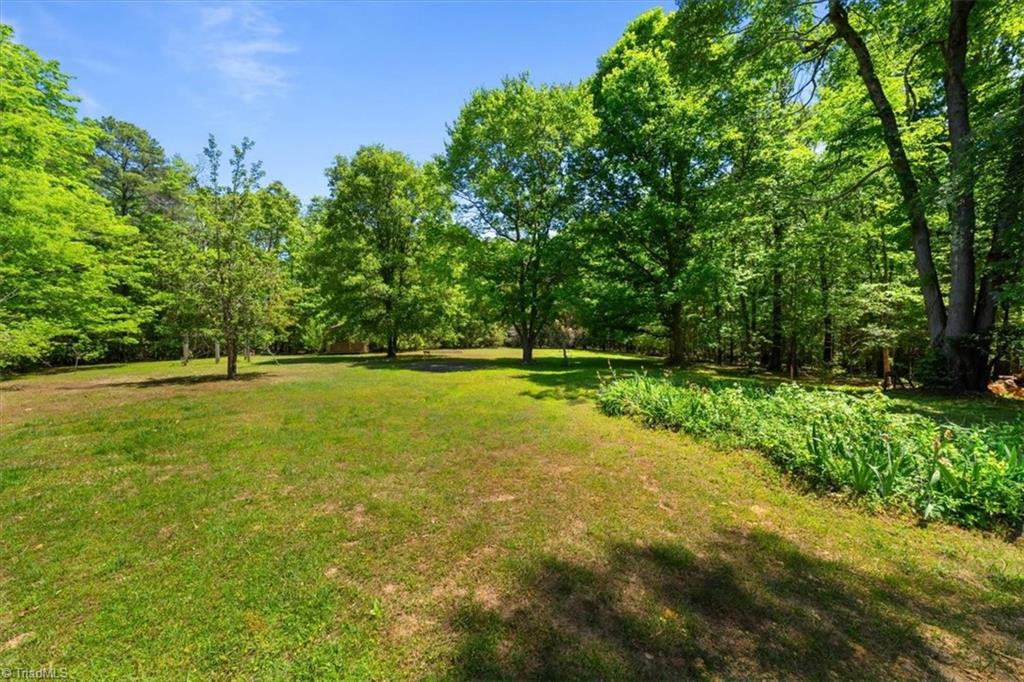 4603 Moffitt Mill Road Ramseur, NC 27316 - Photo 37 of 39 Backyard