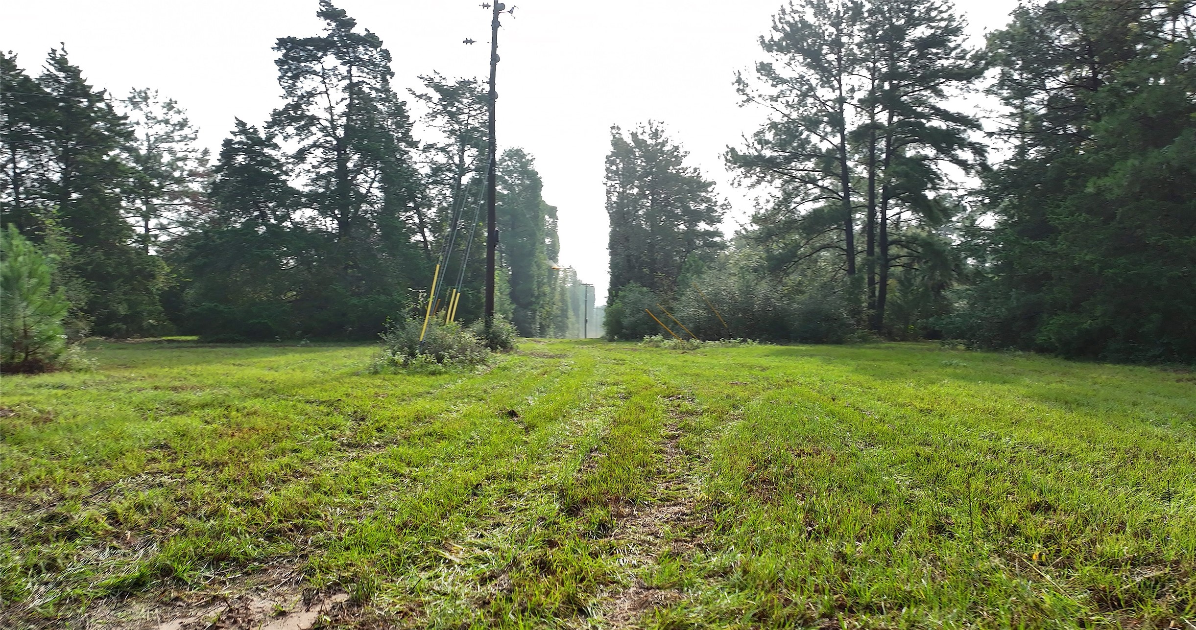 0 Spring Branch Road Montgomery, TX 77316 - Photo 13 of 17 a view of outdoor space with deck and yard