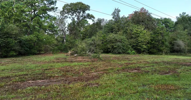 a view of outdoor space and yard