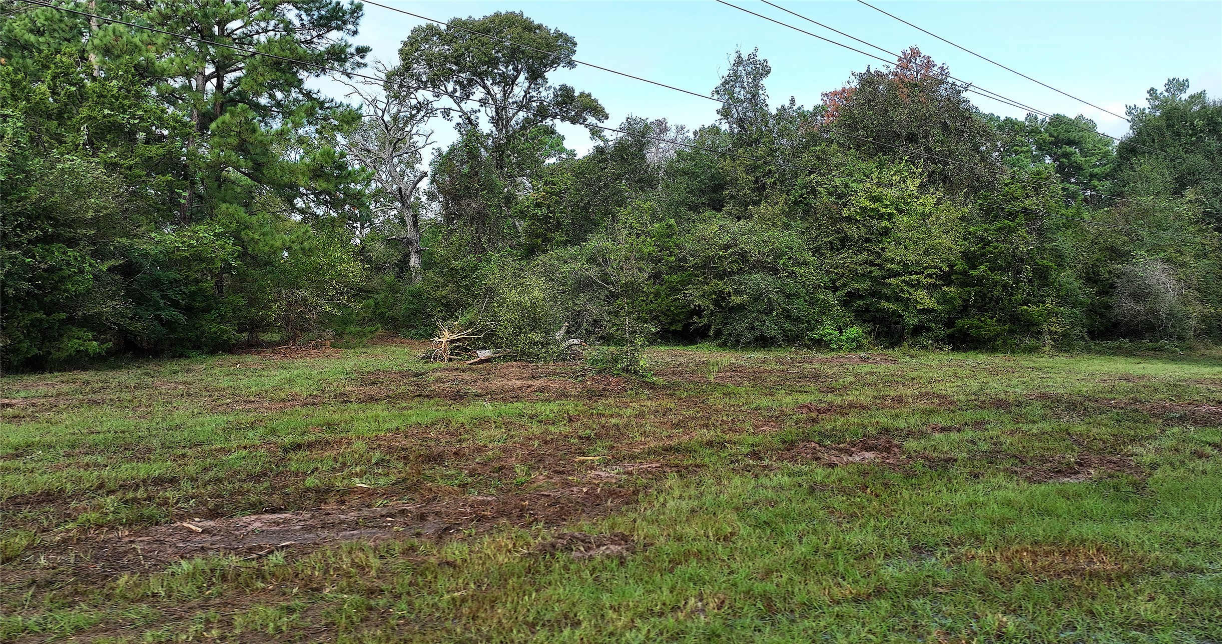 0 Spring Branch Road Montgomery, TX 77316 - Photo 14 of 17 a view of outdoor space and yard